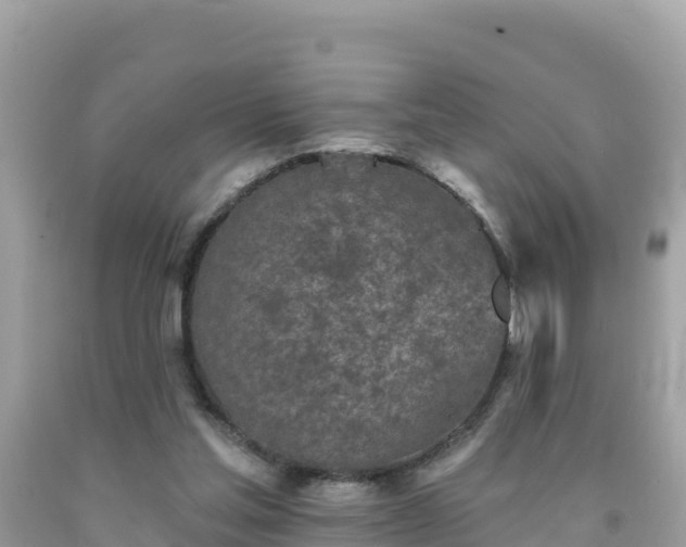 X0000092010205200709131542