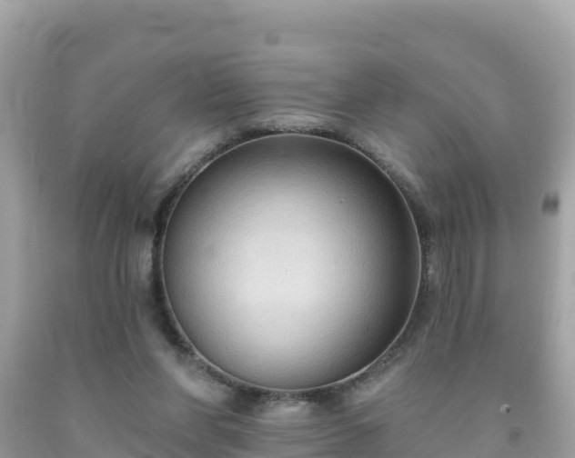 X0000092010206200709131542
