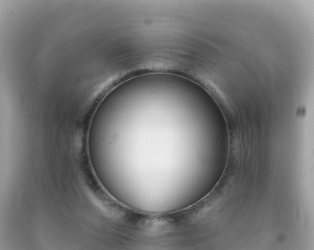 X0000092010208200709131542