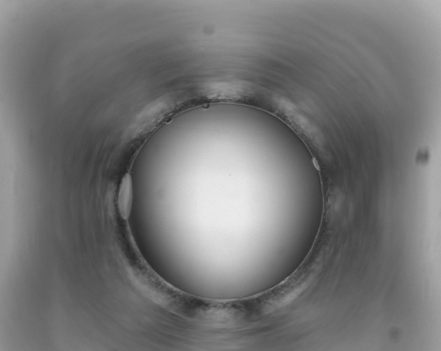 X0000092010209200709131542