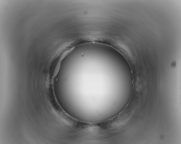 X0000092010210200709131542
