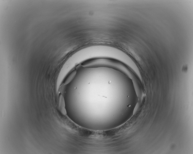 X0000092010211200709131542