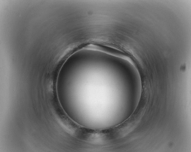 X0000092010212200709131542