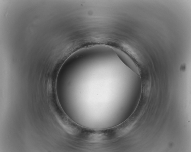X0000092010213200709131542