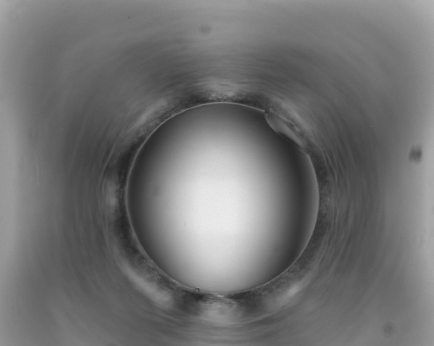X0000092010215200709131542