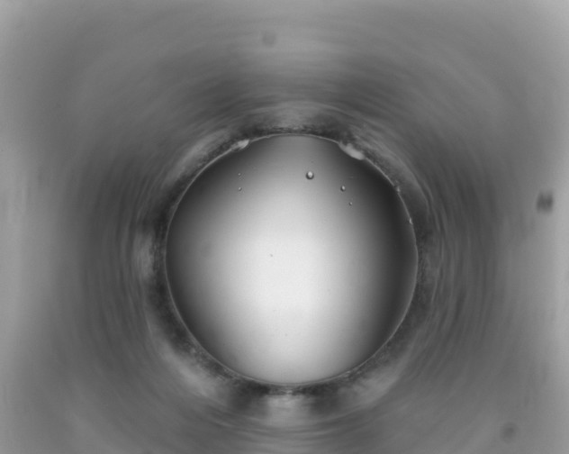 X0000092010216200709131542