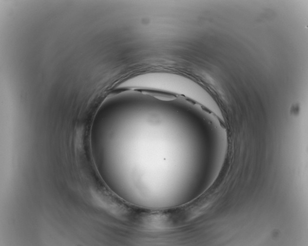 X0000092010217200709131542
