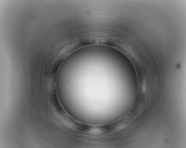 X0000092010218200709131542
