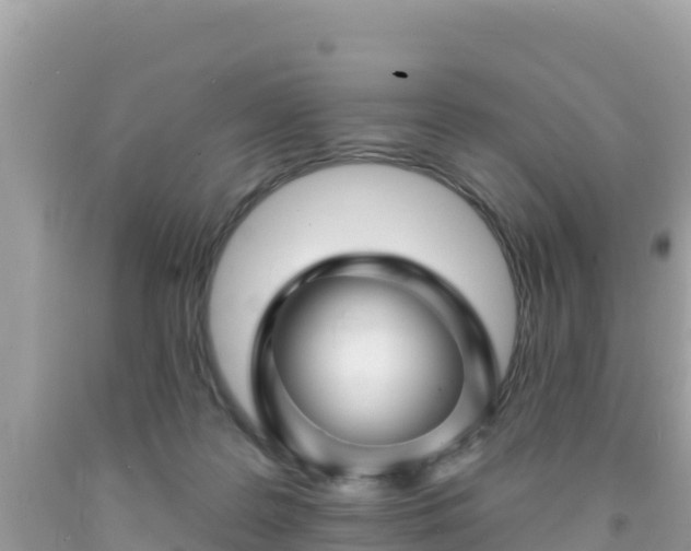 X0000092010219200709131542