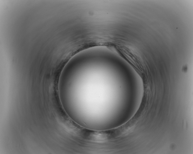 X0000092010221200709131542