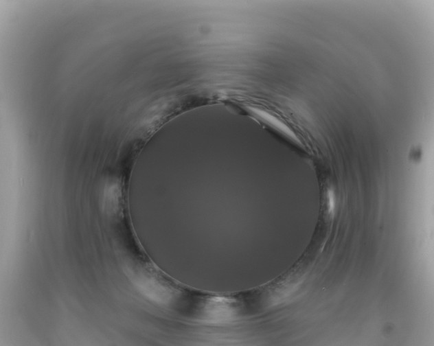 X0000092010222200709131542