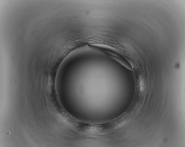 X0000092010223200709131542