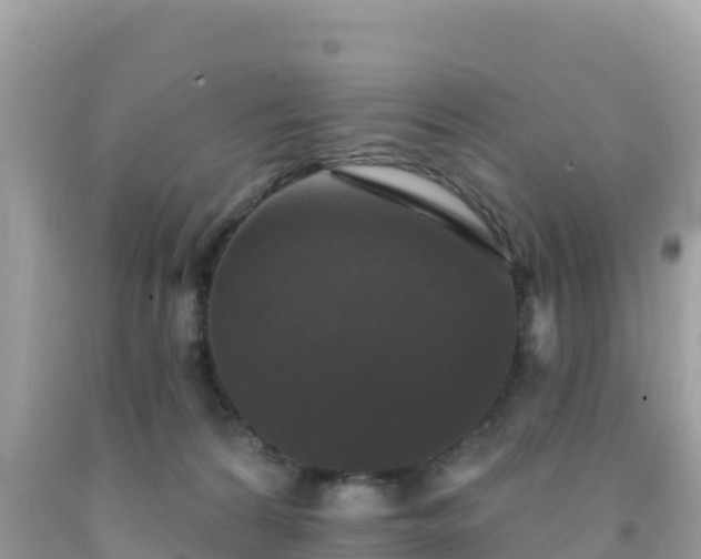 X0000092010224200709131542