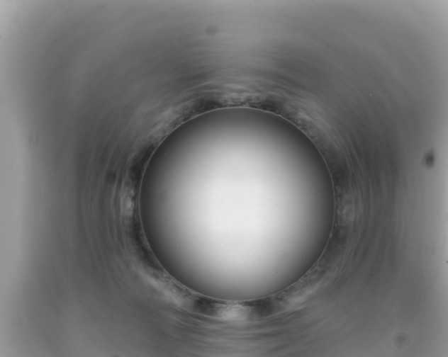 X0000092010226200709131542
