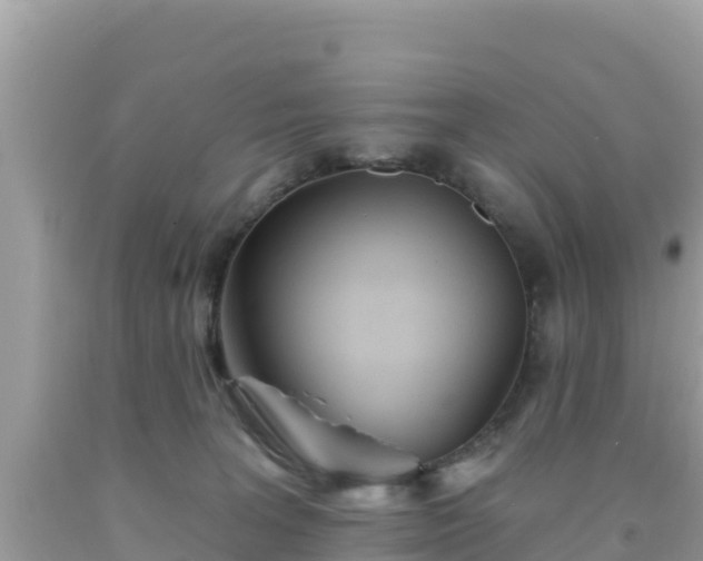 X0000092010227200709131542