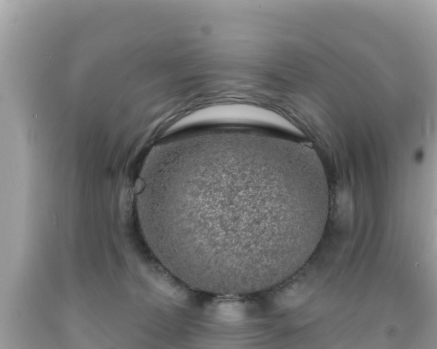 X0000092010228200709131542