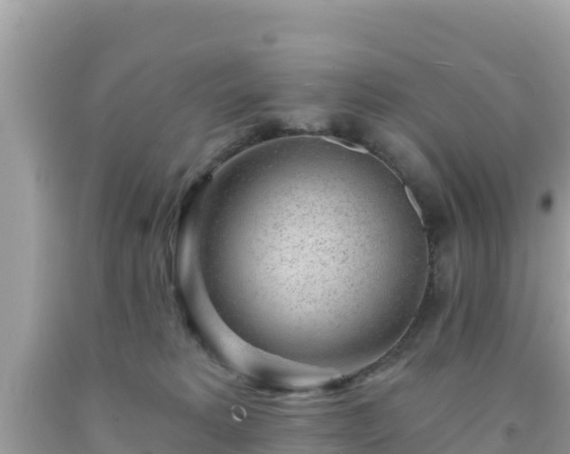 X0000092010229200709131542