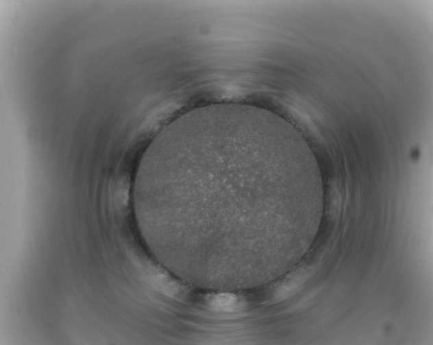 X0000092010230200709131542
