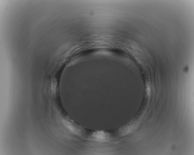 X0000092010231200709131542