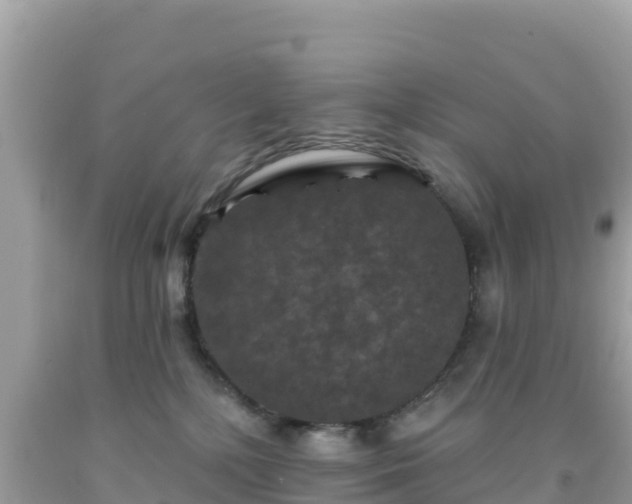 X0000092010232200709131541
