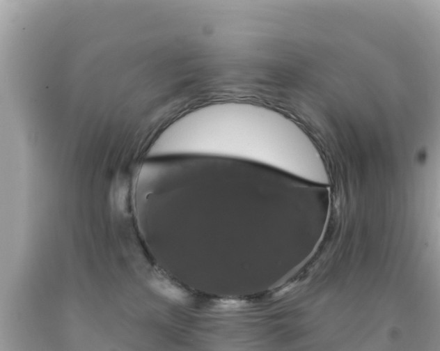 X0000092010233200709131541