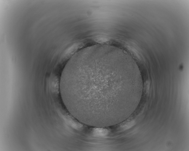 X0000092010234200709131541