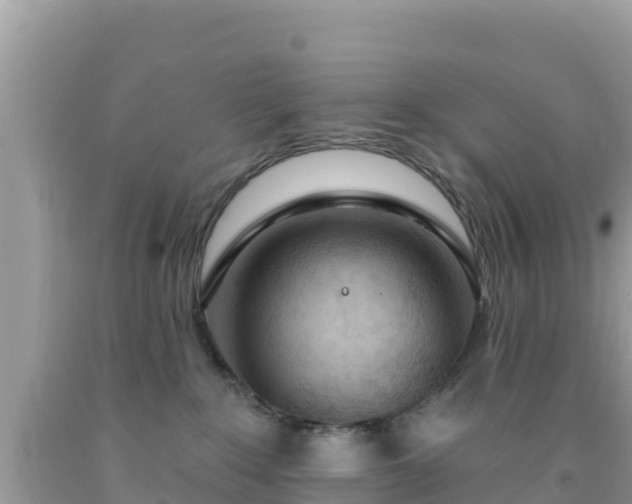 X0000092010235200709131541