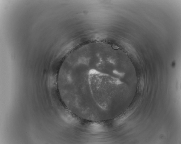 X0000092010236200709131541