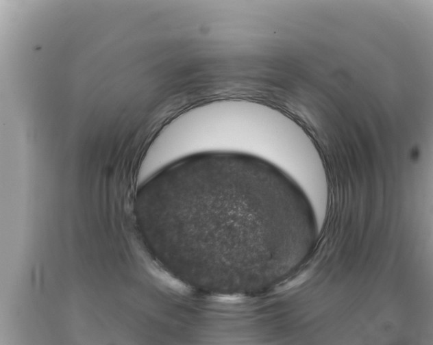 X0000092010237200709131541