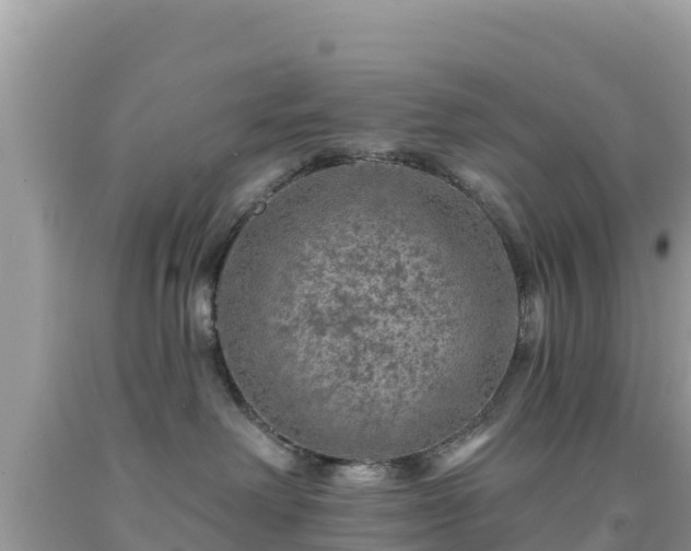 X0000092010238200709131541