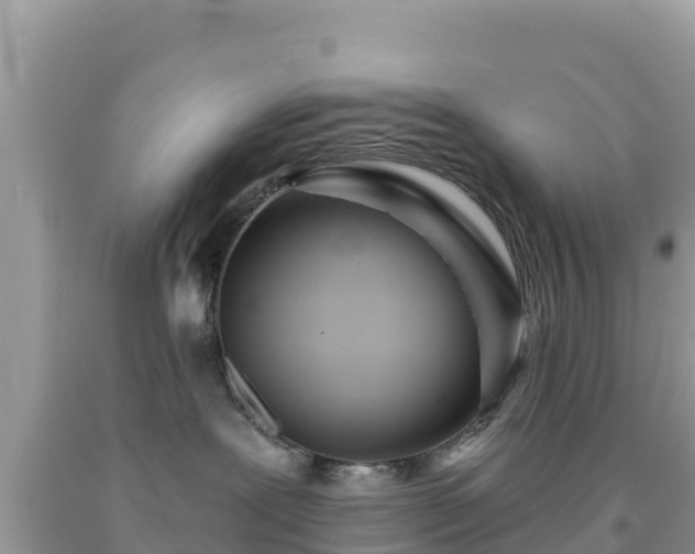 X0000092010239200709131541