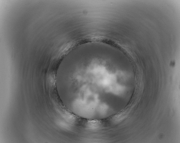 X0000092010240200709131541