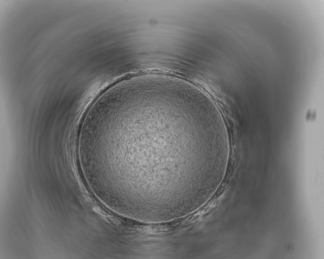 X0000092010241200709131540