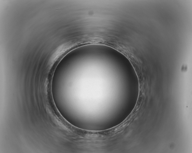 X0000092010242200709131540