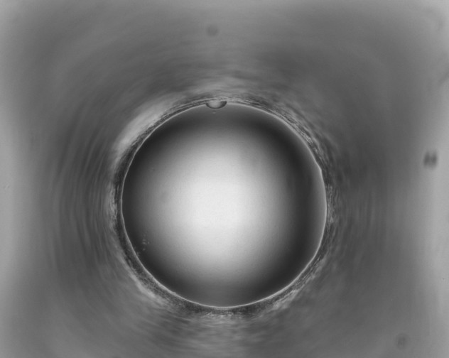 X0000092010245200709131540