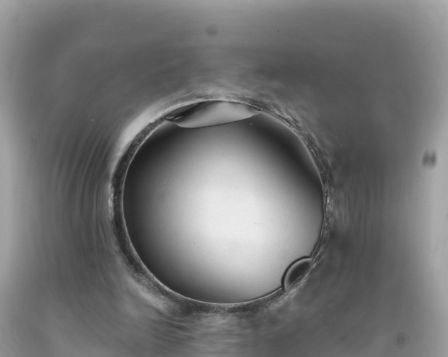 X0000092010246200709131541