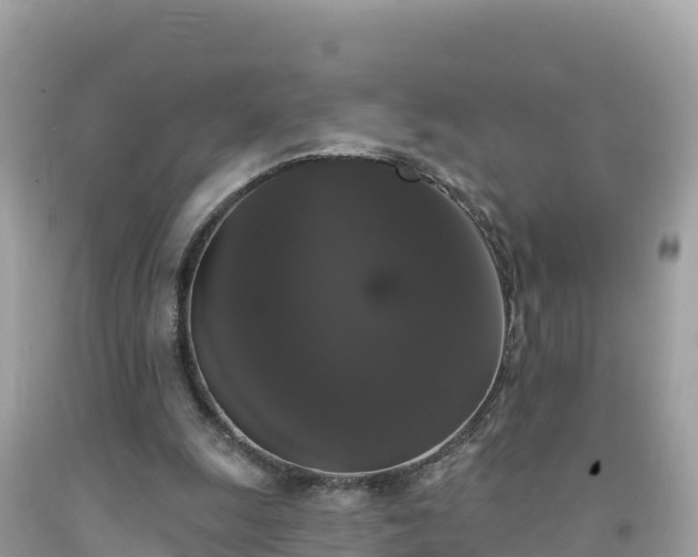 X0000092010247200709131541