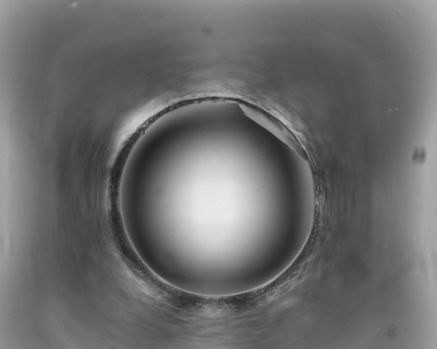 X0000092010248200709131541
