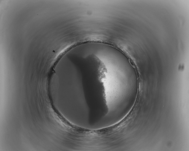 X0000092010249200709131541