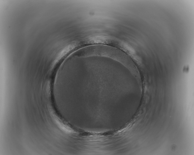 X0000092010250200709131541