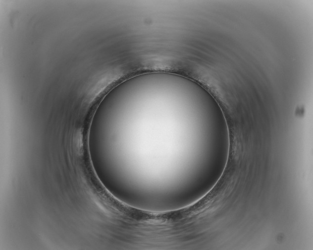 X0000092010251200709131541