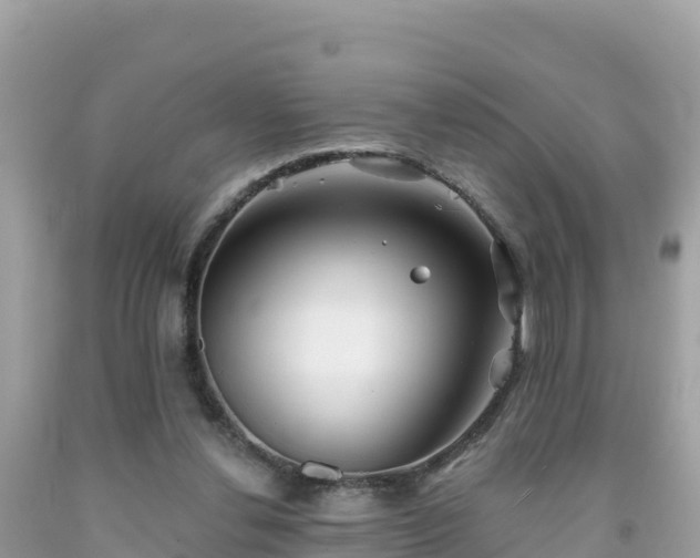 X0000092010252200709131541