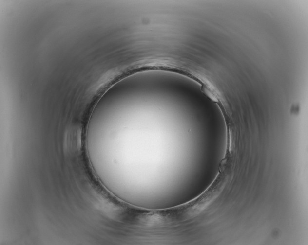 X0000092010253200709131541