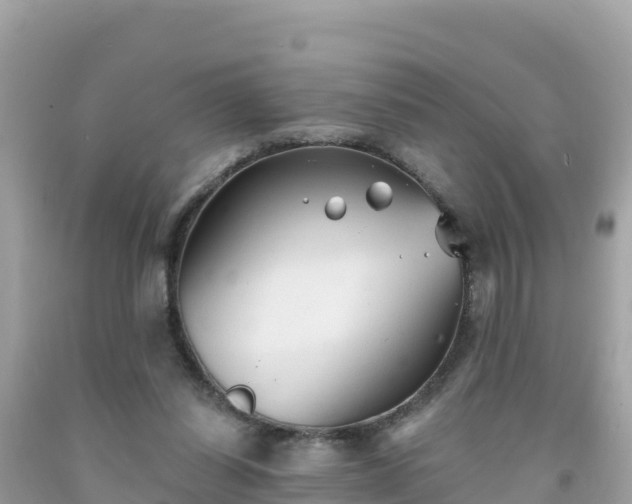 X0000092010254200709131541