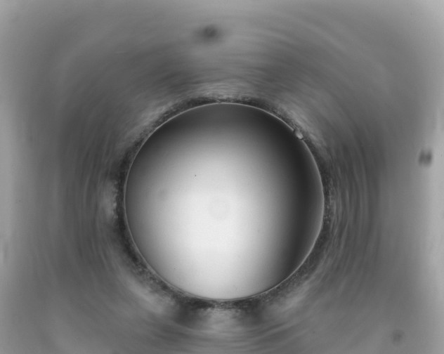 X0000092010255200709131541