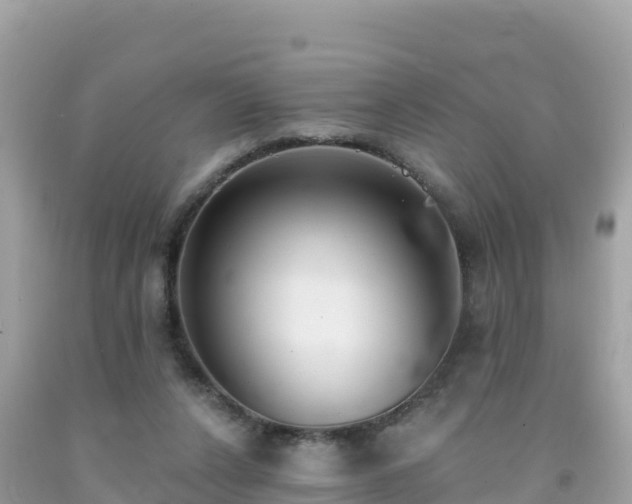 X0000092010256200709131541