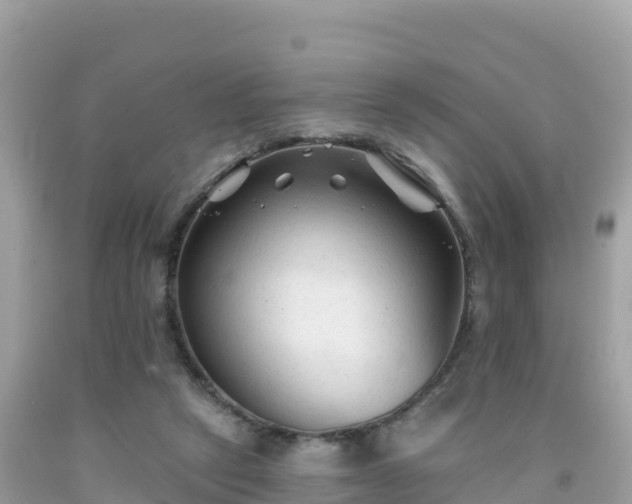 X0000092010257200709131541