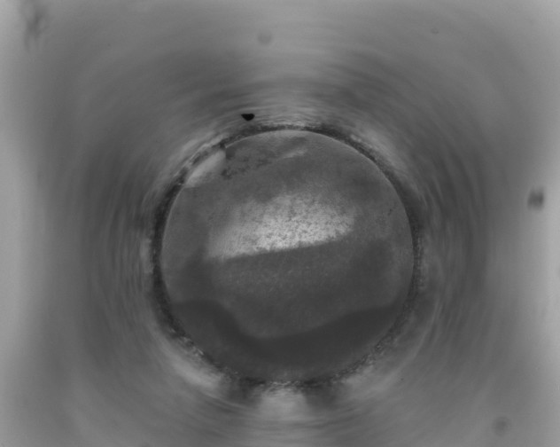 X0000092010258200709131541