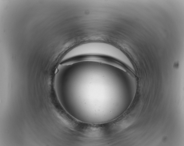 X0000092010260200709131541