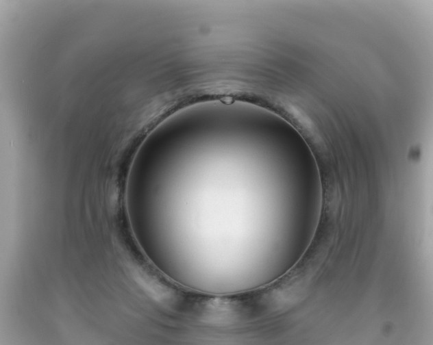 X0000092010261200709131541